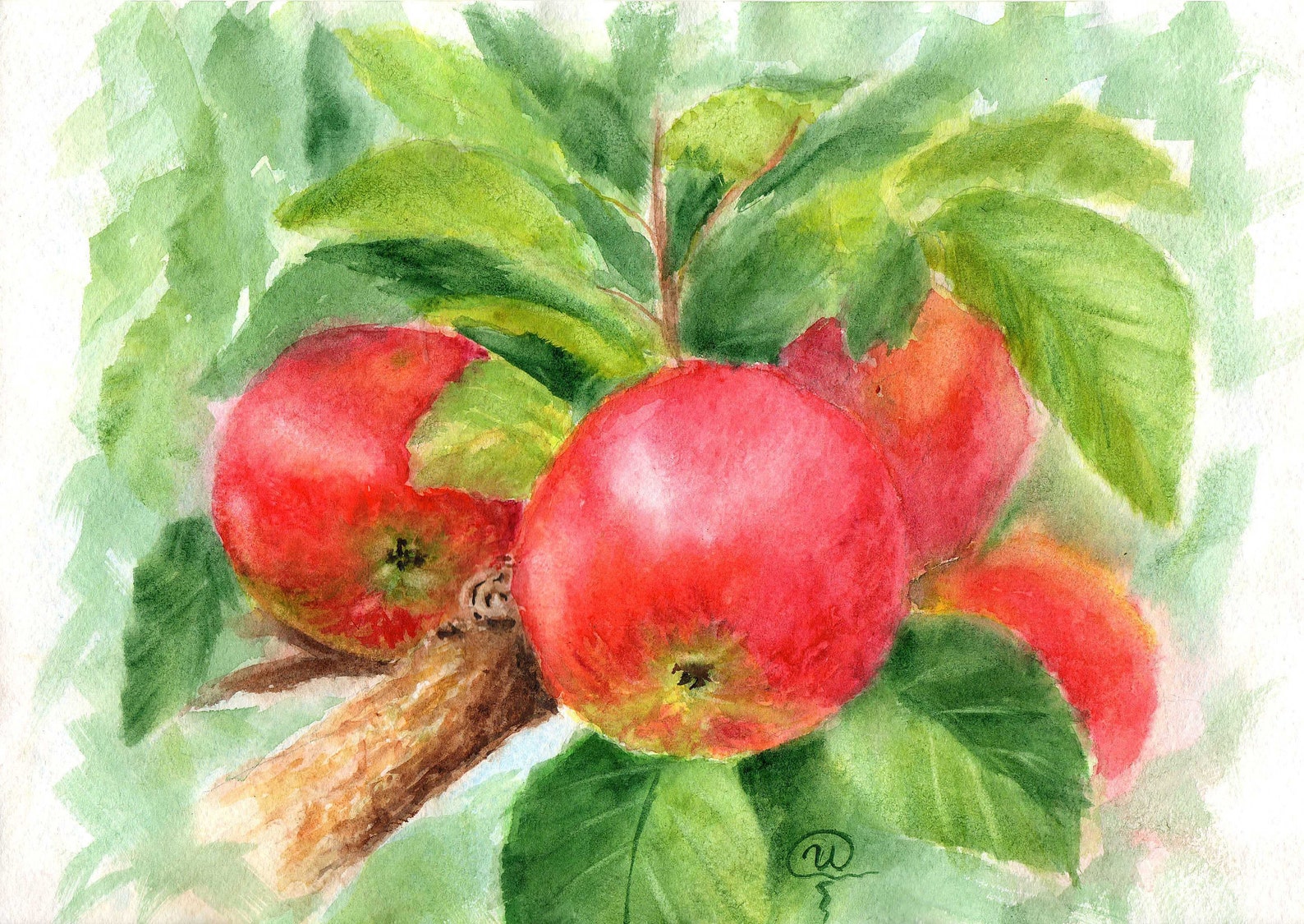 Original watercolor red apple painting Fruit painting Etsy