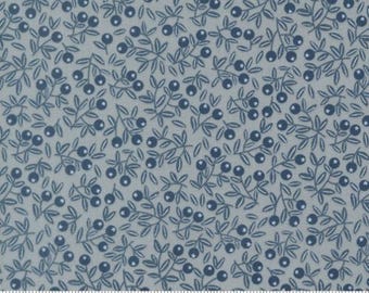 Fabric by HALF YARD- Moda Fabrics Elena Amo - Natures Sketchbook Pebbley Sky 39076 19