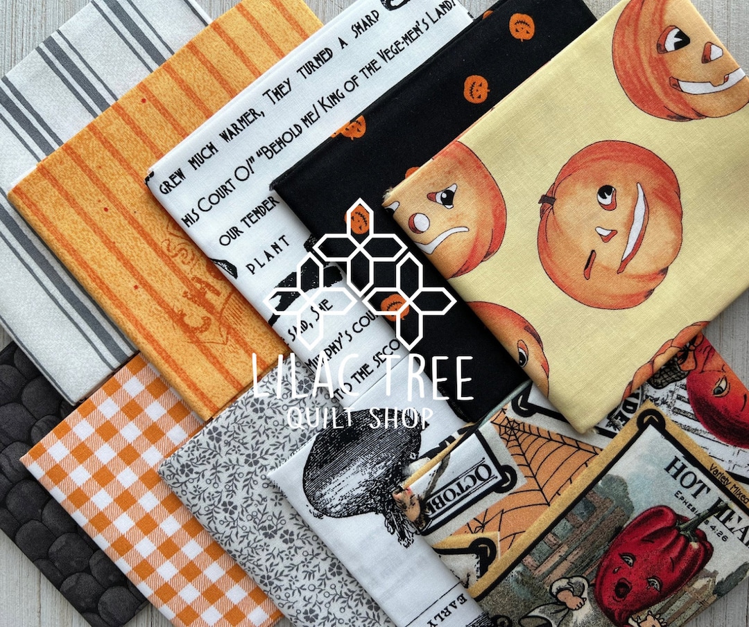Fat Quarter 10 Piece Fabric Bundle - Riley Blake J Wecker Frisch ...