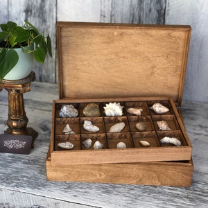 Boîte de collection de roches - Collection de pièces de monnaie - Rangement de coquillages - Collection de dés - Boîte de présentation de collection - Cadeaux - Boîte à compartiments multiples