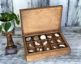 Rock Collection Box Coin Collection Sea Shell Storage Dice Collection  Collection Display Box Gifts Multiple Compartment Box -  Norway