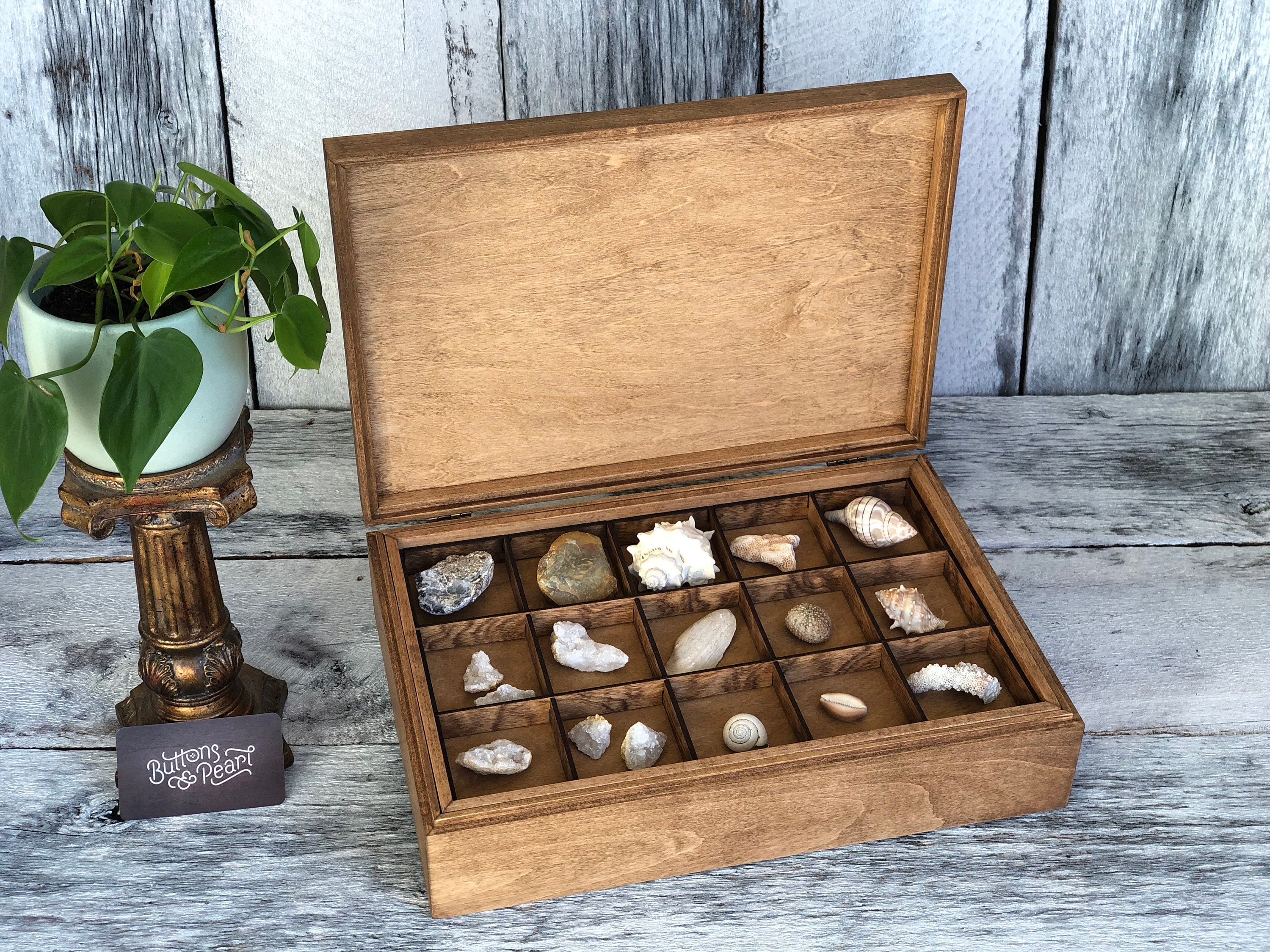 Rock Collection Box Coin Collection Sea Shell Storage Dice Collection  Collection Display Box Gifts Multiple Compartment Box 