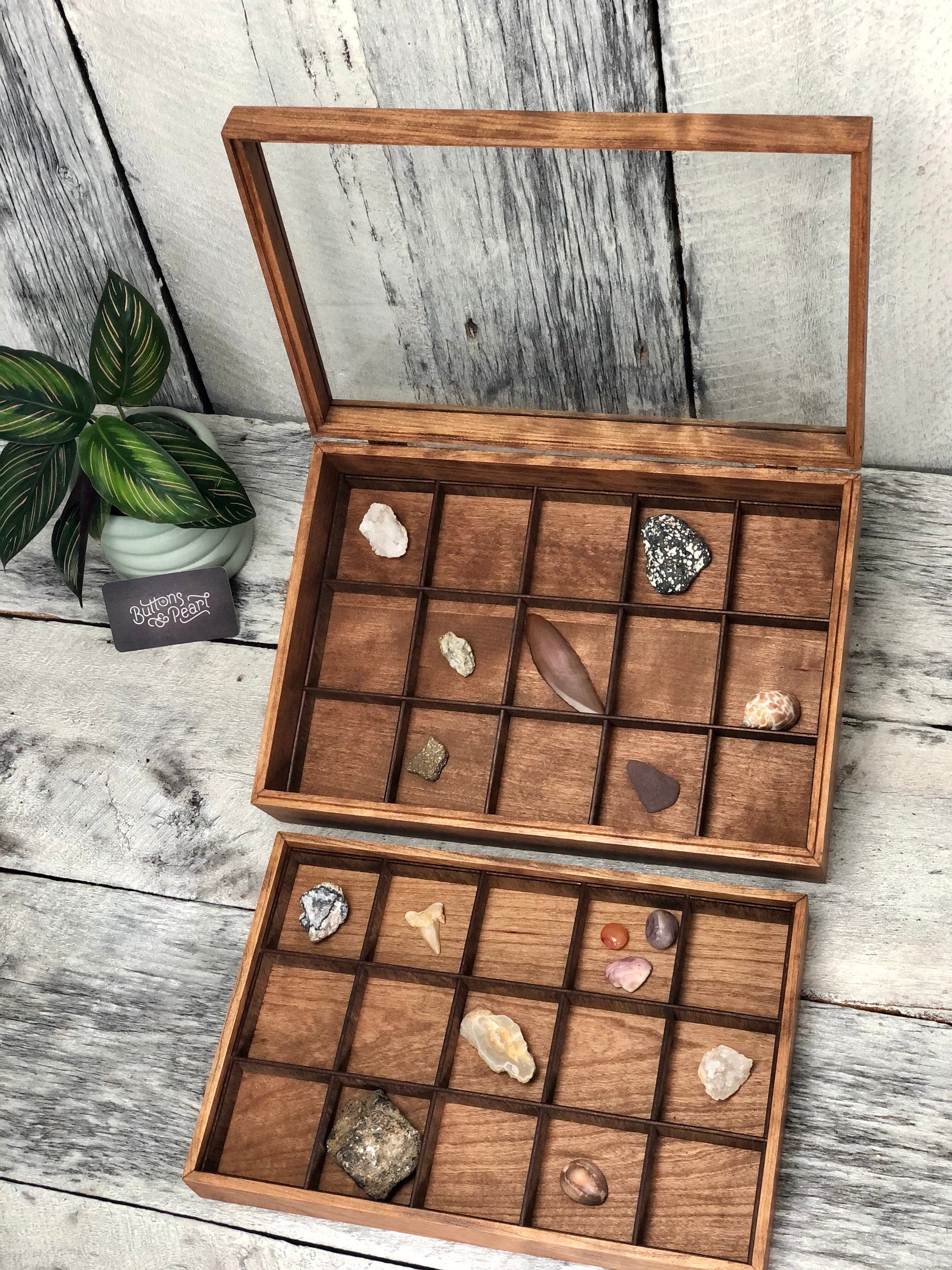 Rock Collection Display Box