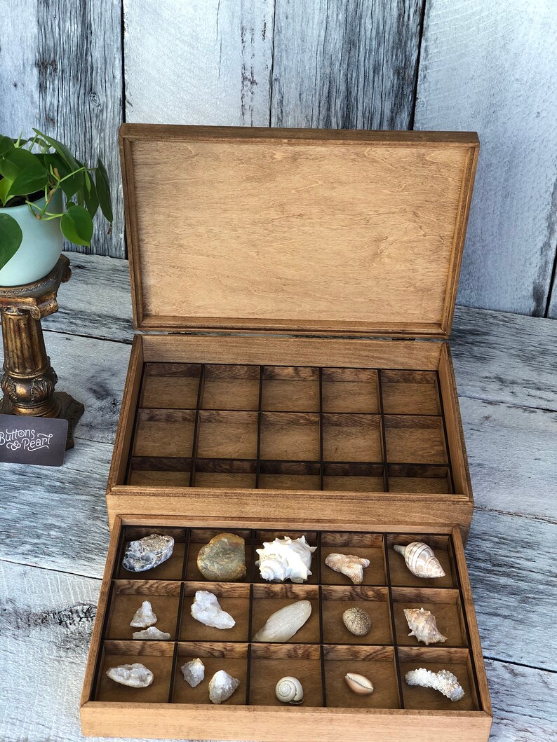 Rock Collection Box Coin Collection Sea Shell Storage Etsy