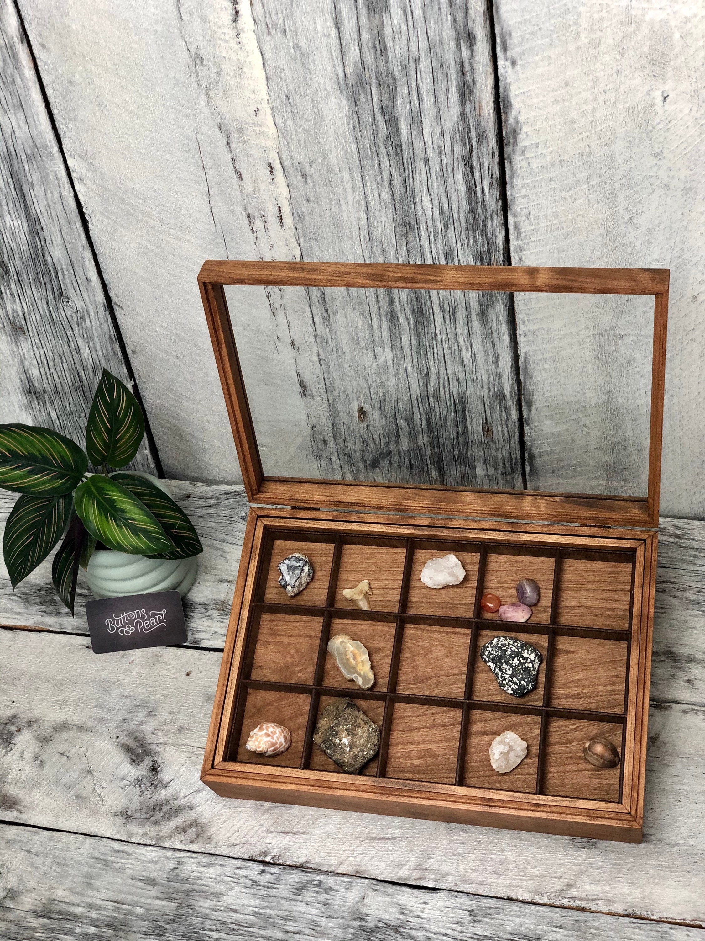 Rock Collection Box Coin Collection Sea Shell Storage Dice Collection  Collection Display Box Gifts Multiple Compartment Box 