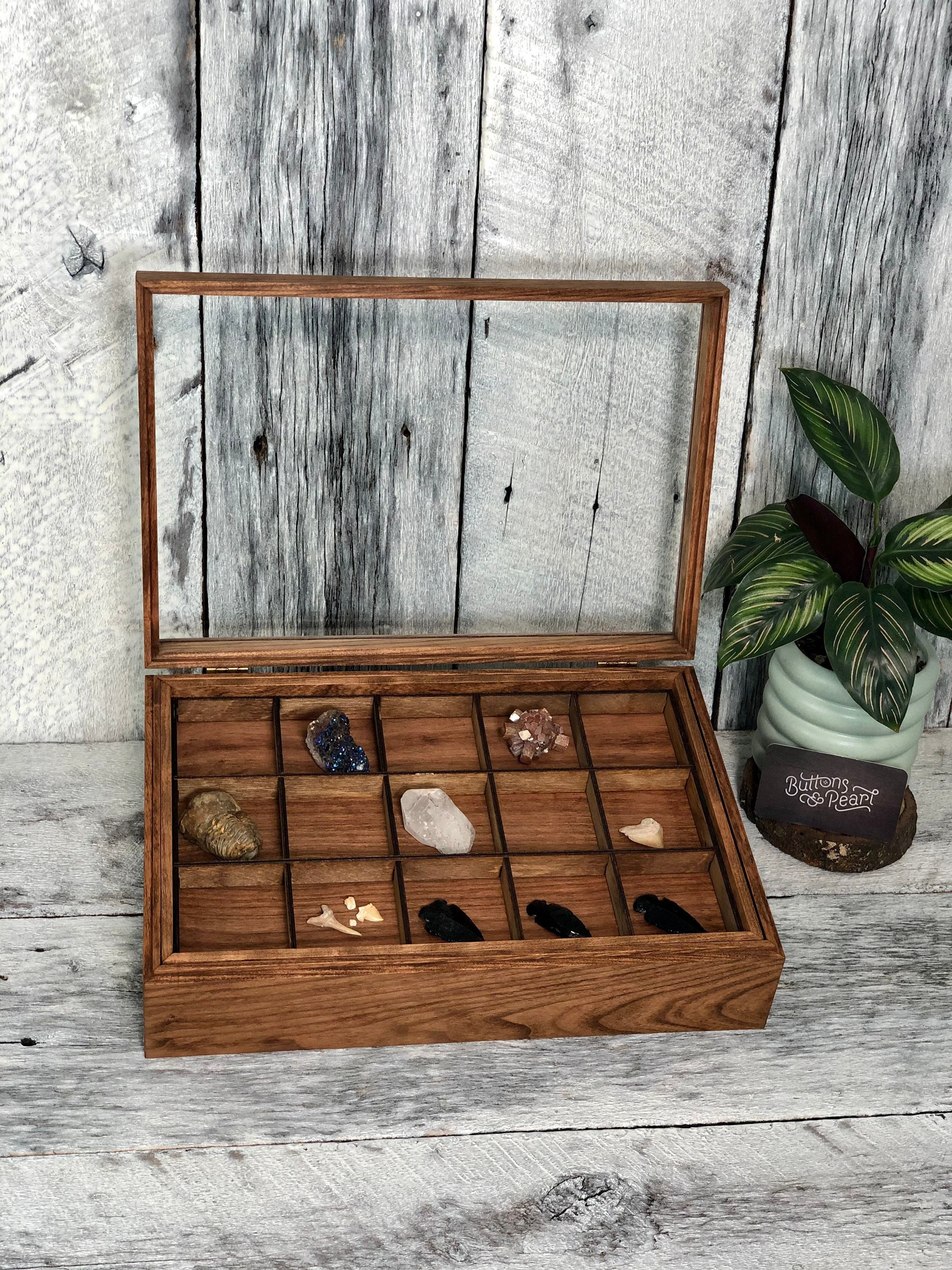 AM Dolce Vita: Rock Collection in Clarus Glass Display Boxes