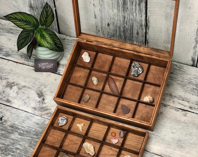Glass Top Collection Box: Wood Display Case for Rocks, Coins, Shells