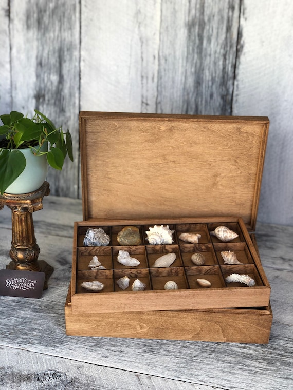 Rock Collection Box with 36 Compartments