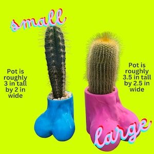 The Little Prick Pot | Custom Ballz Cactus Planter Pot | 2 sizes