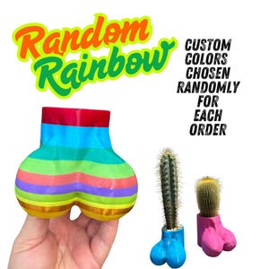 The Little Prick Pot | Custom Random Rainbow Balls for Cactus Planter Pot | LGBT Pride | Gag Gift