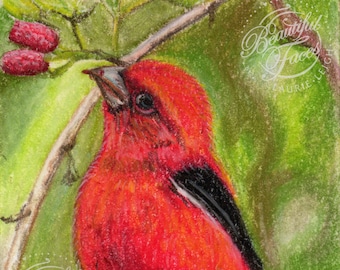 Print Raspberries Nature art Bird Series 001 by Laurie Leigh