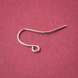 May include: A silver earring hook with a small loop at the end.