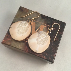 Pode incluir: Um par de brincos de ouro com uma pedra redonda de cor creme. As pedras têm um padrão salpicado.
