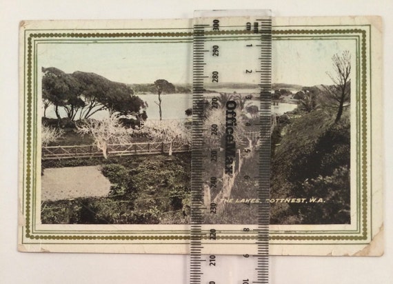 パース ポストカード ウェスタンオーストラリア 【公式通販】