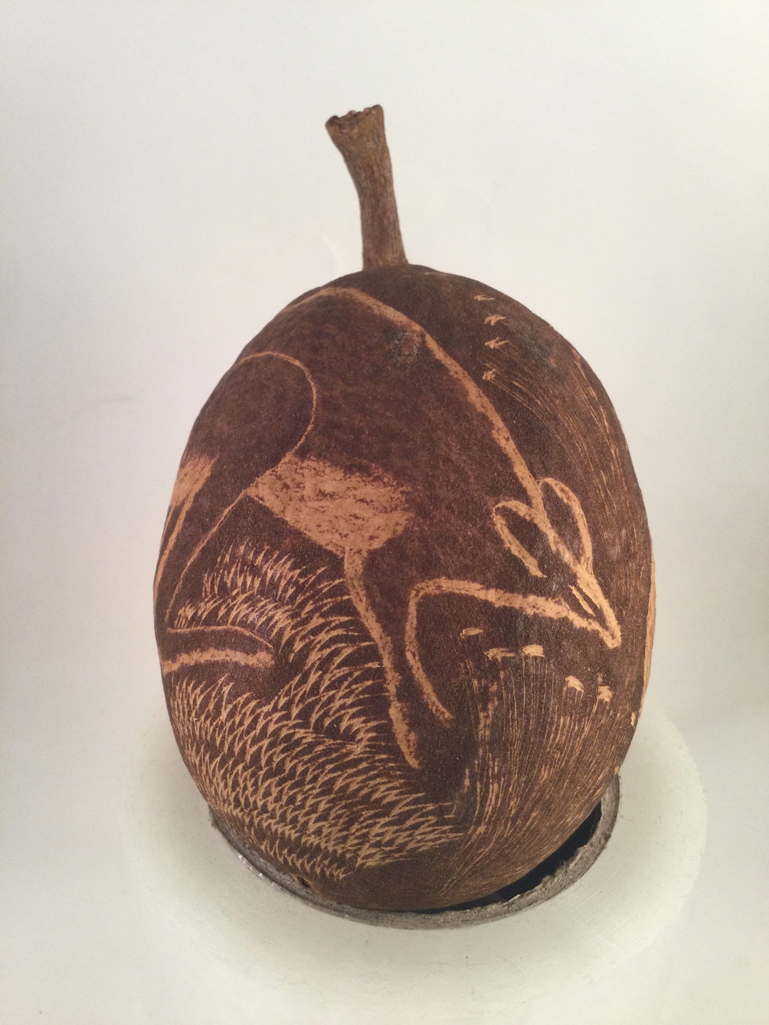 Finely Carved Australian Boab Tree Nut Aboriginal Carving From