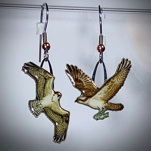 Fischadler Ohrringe von Jabebo, farbenfroh, detailliert und mit Müslischachtelkarton handgefertigt