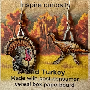 Wild Turkey da Jabebo, inspirando curiosidade com papelão de caixa de cereal reutilizado