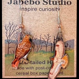May include: A pair of red-tailed hawk earrings made from recycled cereal box paper. The earrings are brown and orange with a silver hook and a copper bead.