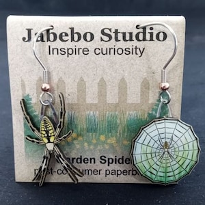 Garden Spider Jabebo Earrings, Inspire Curiosity with cereal box paperboard