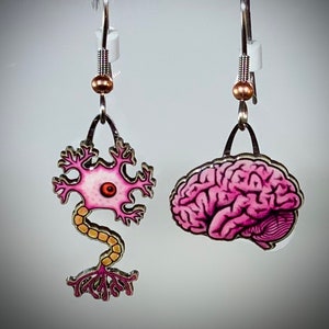 May include: A pair of silver earrings with pink and yellow anatomical illustrations. One earring features a detailed depiction of a neuron, while the other earring shows a human brain.