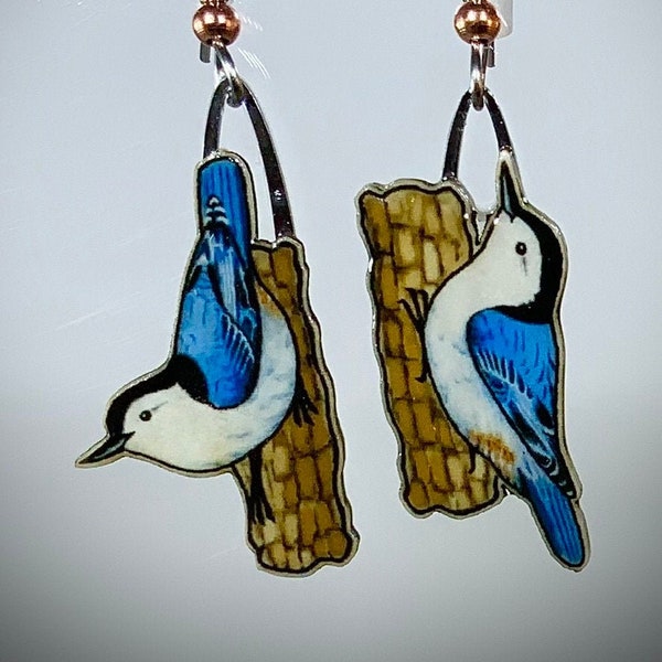 White-breasted Nuthatch Earrings by Jabebo, Inspire Curiosity with cereal box paperboard