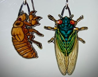 Cicada Earrings by Jabebo, Inspiring Curiosity with recycled cereal box paperboard