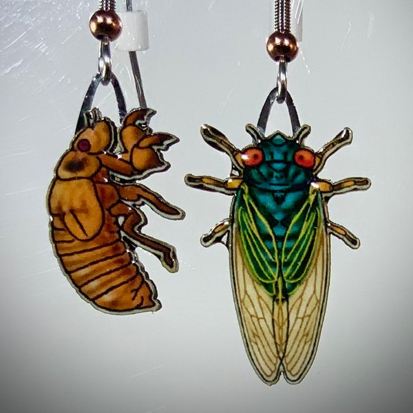 Cicada Earrings by Jabebo, Inspiring Curiosity with recycled cereal box paperboard