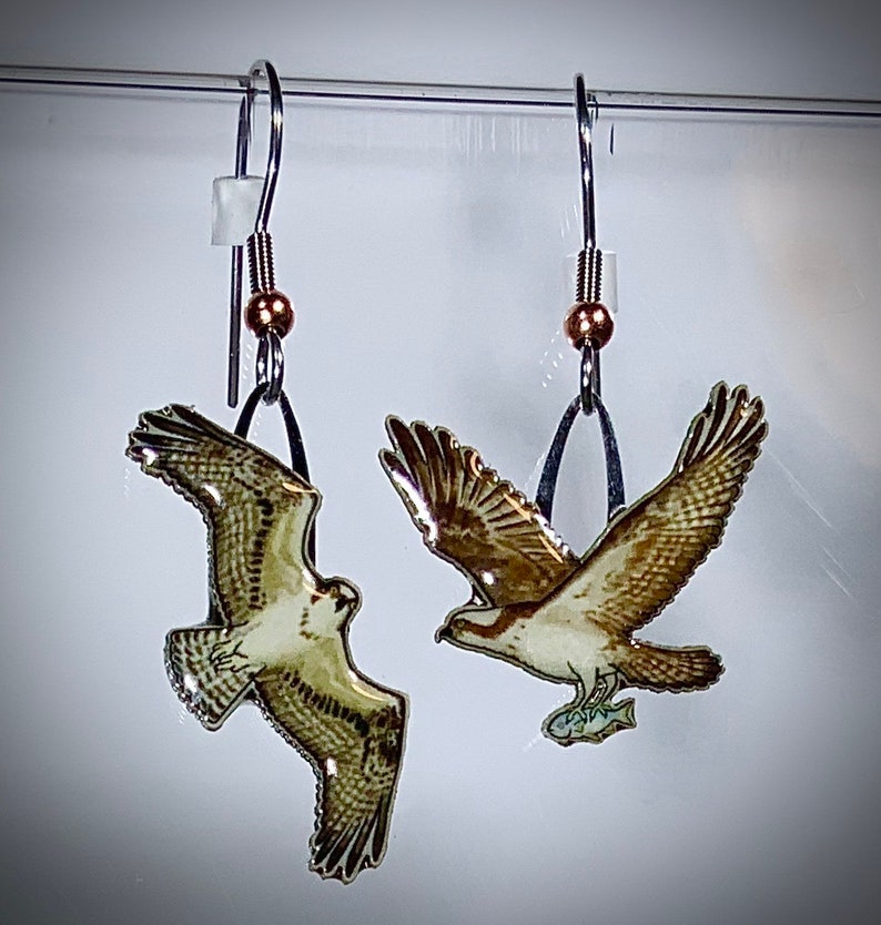 Osprey Earrings by Jabebo Colorful Detailed and Handmade Etsy