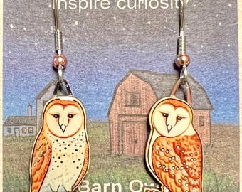 Barn Owl- Cereal box Earrings by Jabebo