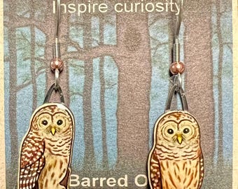 Barred Owl- cereal box earrings by Jabebo