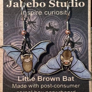 Brincos Little Brown Bat da Jabebo, Inspirando Curiosidade com Caixa de Cereal Reutilizada