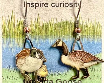 Canada Goose by Jabebo, Inspiring Curiosity with reused cereal box cardboard
