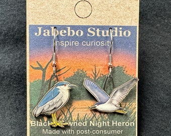 Black-crowned Night Heron Jabebo Inspiring Curiosity with recycled cereal box paperboard