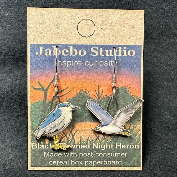 Black-crowned Night Heron Jabebo Inspiring Curiosity with recycled cereal box paperboard