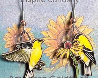 American Goldfinch earrings by Jabebo, inspiring curiosity with reused cereal box cardboard