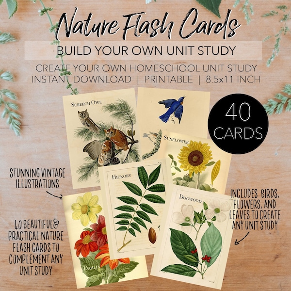 Charlotte Mason Inspired Vintage Nature Flash Cards - Vintage Illustrations - INSTANT DOWNLOAD Planning Letter Size 8.5x11 Paper