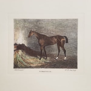 Italian Hand Water-Colored Thoroughbred Horse Print &quot;Turquoise&quot;