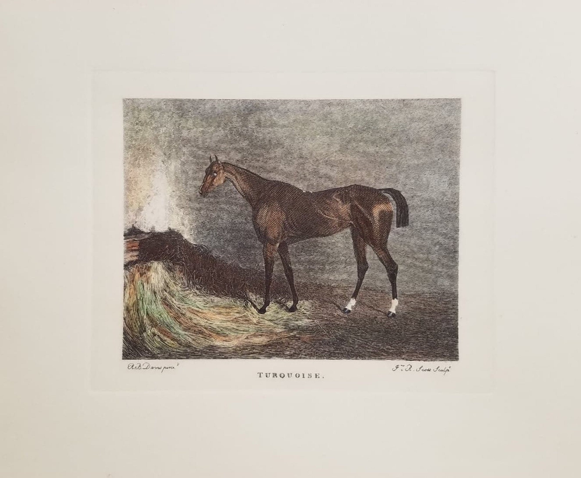 Italian Hand Water-Colored Thoroughbred Horse Print "Turquoise"