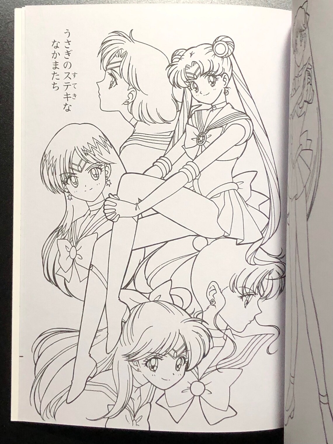 Naoko Takeuchi Sailor Moon Coloring Book Japanese Edition | Etsy