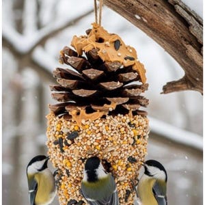 May include: A homemade bird feeder made from a large pine cone, coated with peanut butter and birdseed, and suspended by twine. Three small birds are perched on the feeder, eating the seeds. The background is a snowy, winter scene.