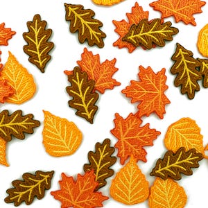 Pode incluir: Uma coleção de emblemas bordados termocolantes em forma de folhas de outono em vários tons de laranja, amarelo e castanho. Os emblemas apresentam costuras detalhadas das nervuras das folhas e bordas serrilhadas, com desenhos de folhas de ácer e carvalho.