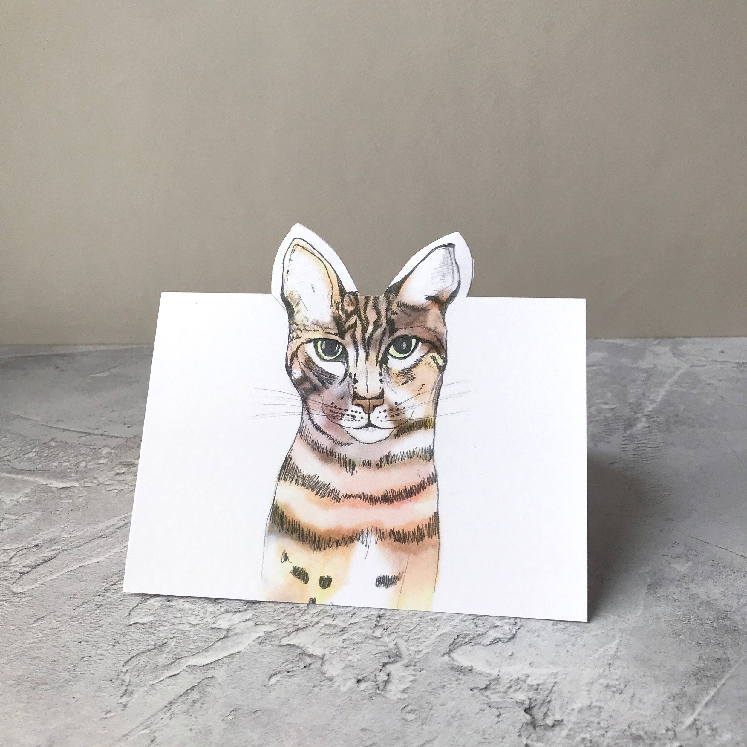 Pop Up Cat Greeting Cards Cat Lover Card Pop Up Cat Cards Etsy