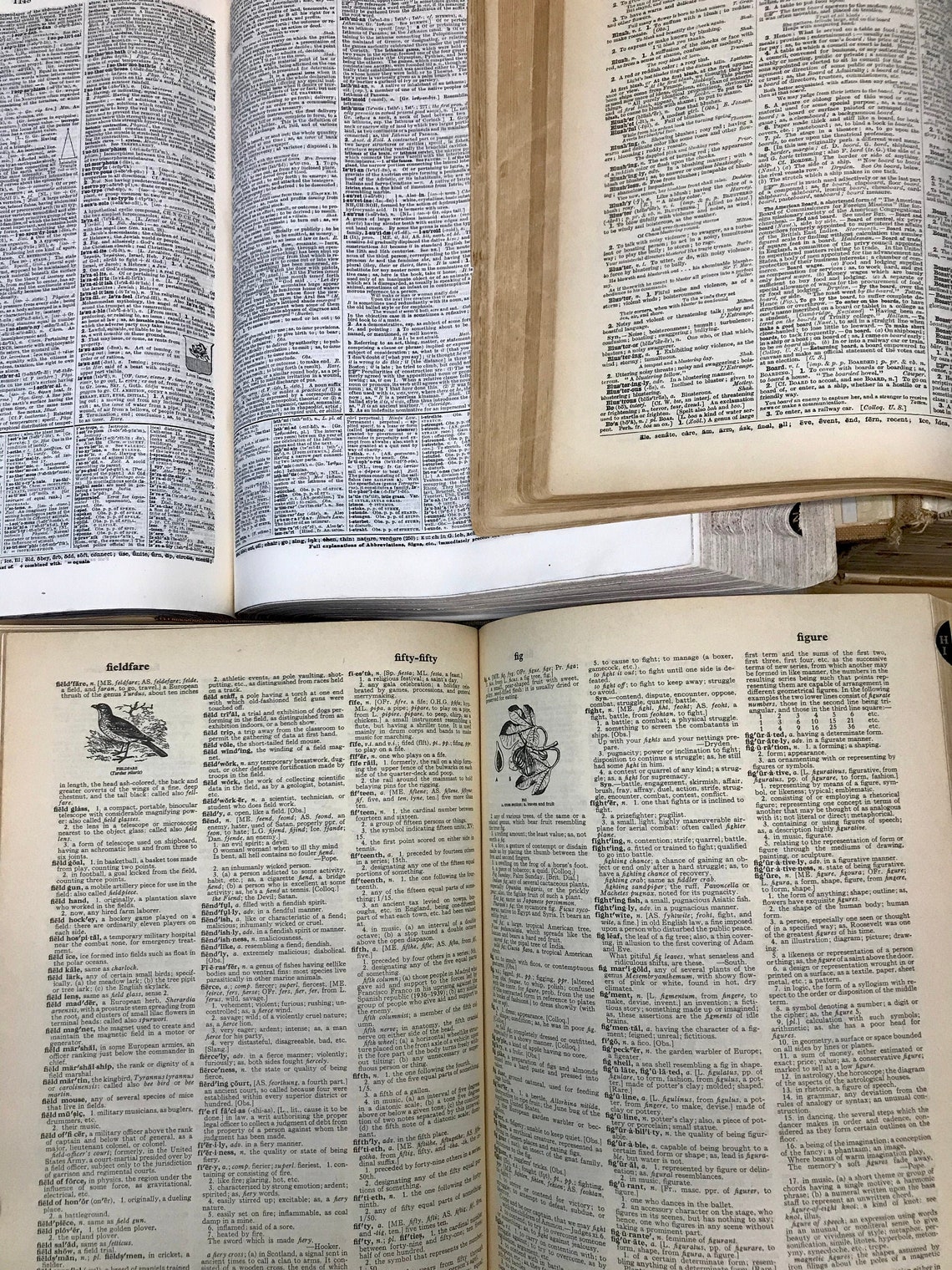 50 Original Vintage/antique Dictionary Pages Dating From 1800s to