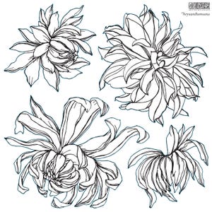 Chrysanthemum - IOD Decor Stamp (Retired Nov 2024)