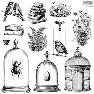 Pastiche - IOD Decor Stamp
