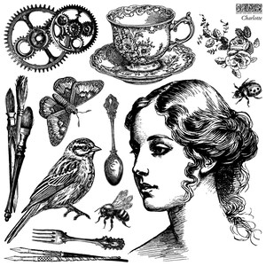 Charlotte - Sello decorativo IOD