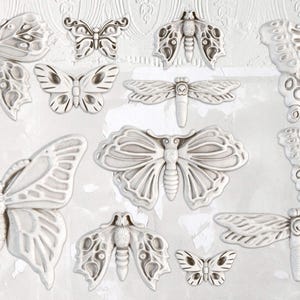 Monarch - Moule IOD