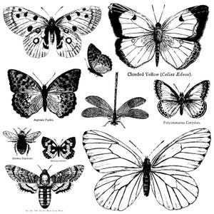 Butterflies - IOD Decor Stamp