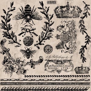 Queen Bee - IOD Decor Stamp