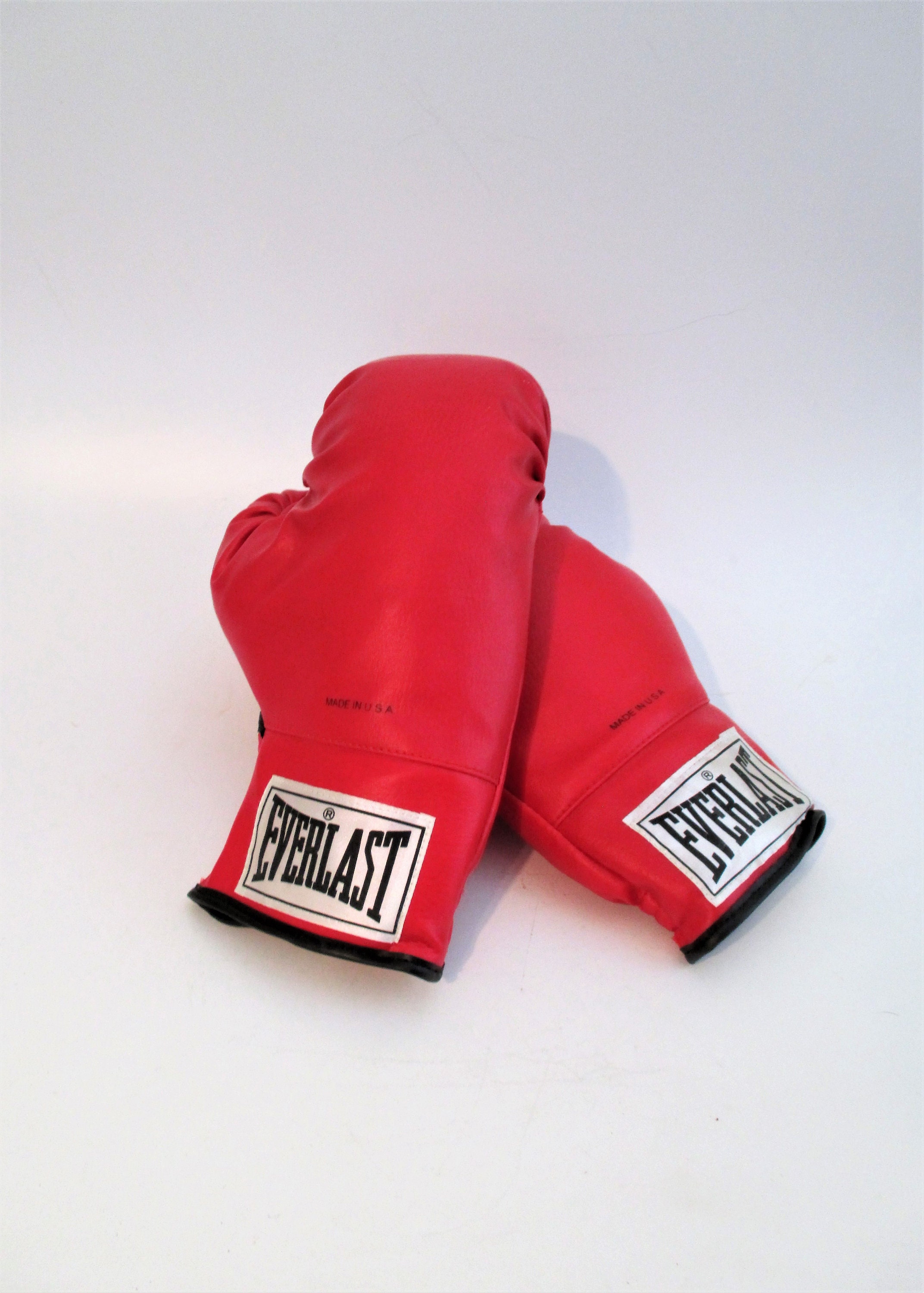 Vintage Everlast Training Boxing Gloves | Etsy